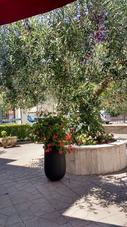 Hotel Facioni Pomezia Dış mekan fotoğraf